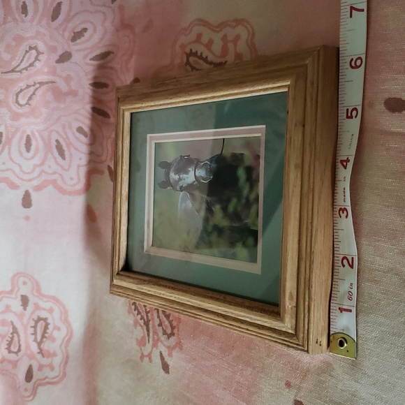 Framed Horse Print Caballo Pony Cowgirl - Picture 9 of 11